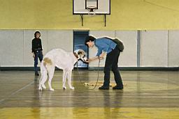 uimage040.jpg