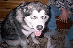 uimage041.jpg