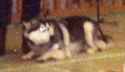 uimage042.jpg
