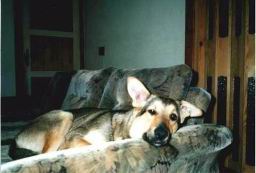 uimage049.jpg