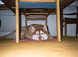 uimage050.jpg