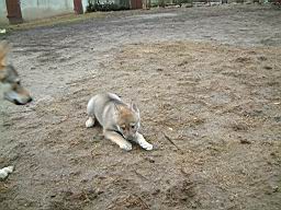 wimage007.jpg