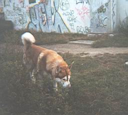 wimage008.jpg