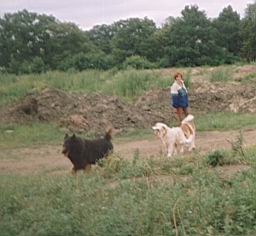 wimage012.jpg