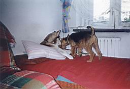 wimage013.jpg