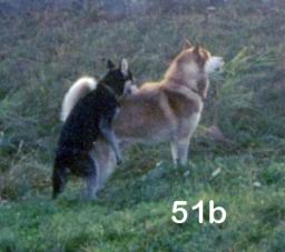 wimage041.jpg