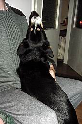 wimage049.jpg