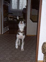 wimage052.jpg