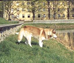 wimage059.jpg