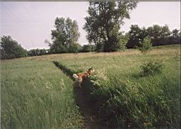wimage065.jpg