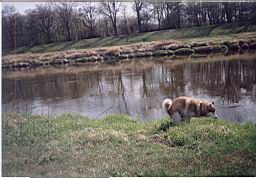 wimage068.jpg
