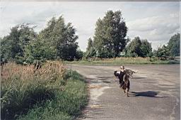 zimage001.jpg