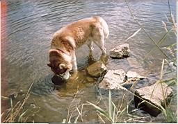 zimage011.jpg