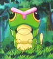 /user/pcaterpi1_small.jpg