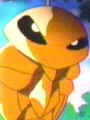 /user/pkakuna2_small.jpg