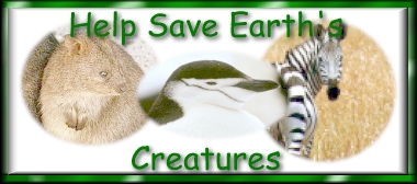 Save the Creatures