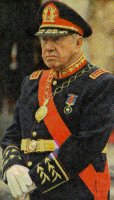 Pinochet4.jpg (9375 byte)
