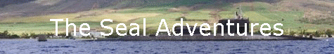 The Seal Adventures