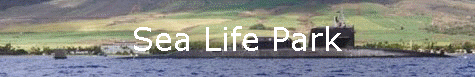 Sea Life Park
