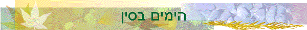 ����� ����