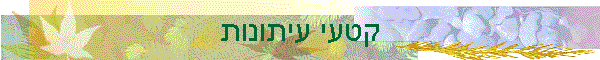 ���� �������