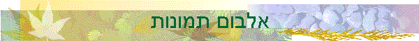 אלבום תמונות