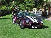 cobra2