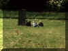 Hundefrerdag1999_spor-teori1.JPG (44329 bytes)