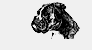 bk-anim.gif (75617 bytes)