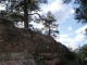 P1010017.JPG