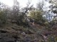 P1010021.JPG