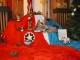 03Native-creche.jpg