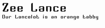 Zee Lance
