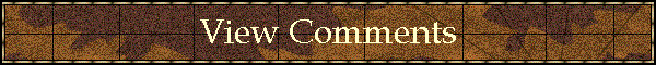 View Comments