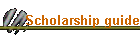 Scholarship guide