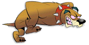 dog