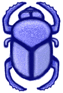 Scarabaeus
