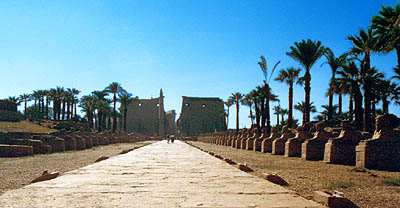 Temple of Luxor showing the Avenue of Sphinxes.