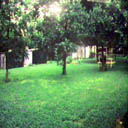 A nice shot of the backyard