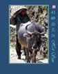 好晒的太阳 Hot Sun