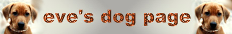 Eve's Dog Page * Even Koirasivut