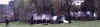 YpBattle1.JPG (17479 bytes)
