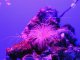 Underwater observations