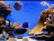 Underwater observations