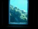 The window to the Underwater World