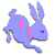 rabbit