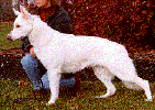 braeheads_bailey_v_eis_haus.gif (19170 bytes)