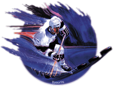 Eishockeyfanseite