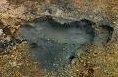 thumboilingmud.jpg (4004 bytes)
