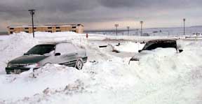 snow1.jpg (9961 bytes)